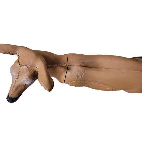 Blemished Pro Hunter Double Duty Buck (Non QuivAR Enabled/Standard)