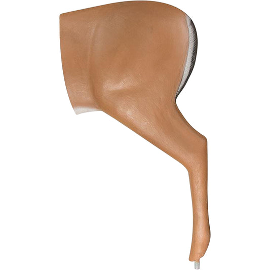 MS Deer Rear Section