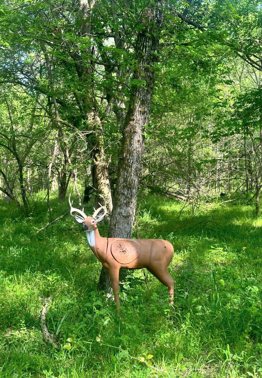 BIGshot 2-Target Combo – Buck Deer Archery Target + Titan XS Crossbow Block Target