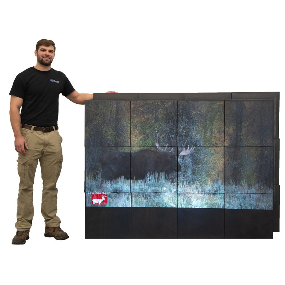 Pro Video Wall