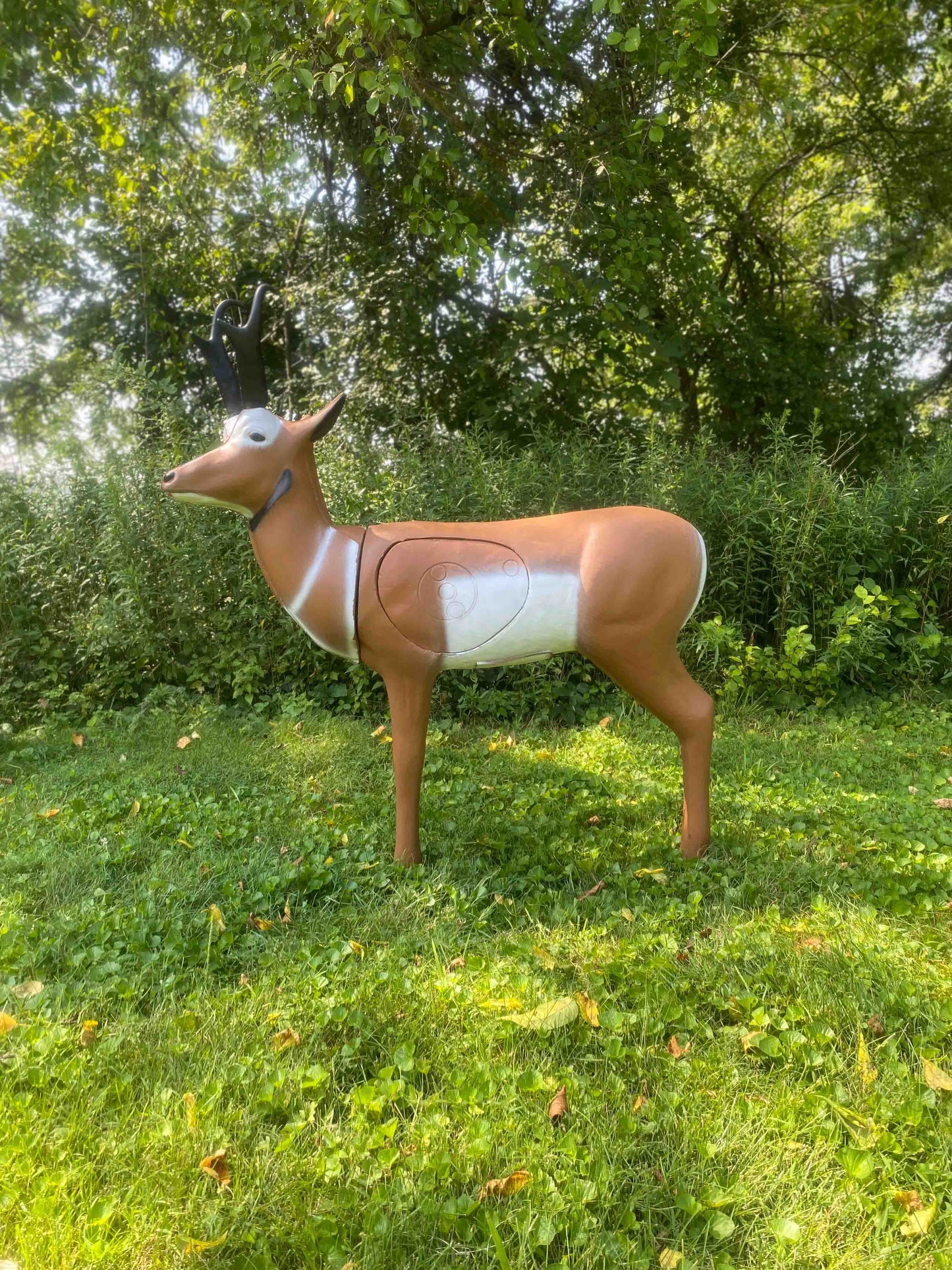 Detailed Pronghorn/Antelope Foam 3D Archery Target for Realistic Hunting Practice