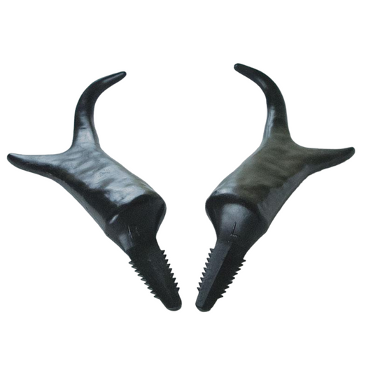 Pronghorn Antelope Antlers