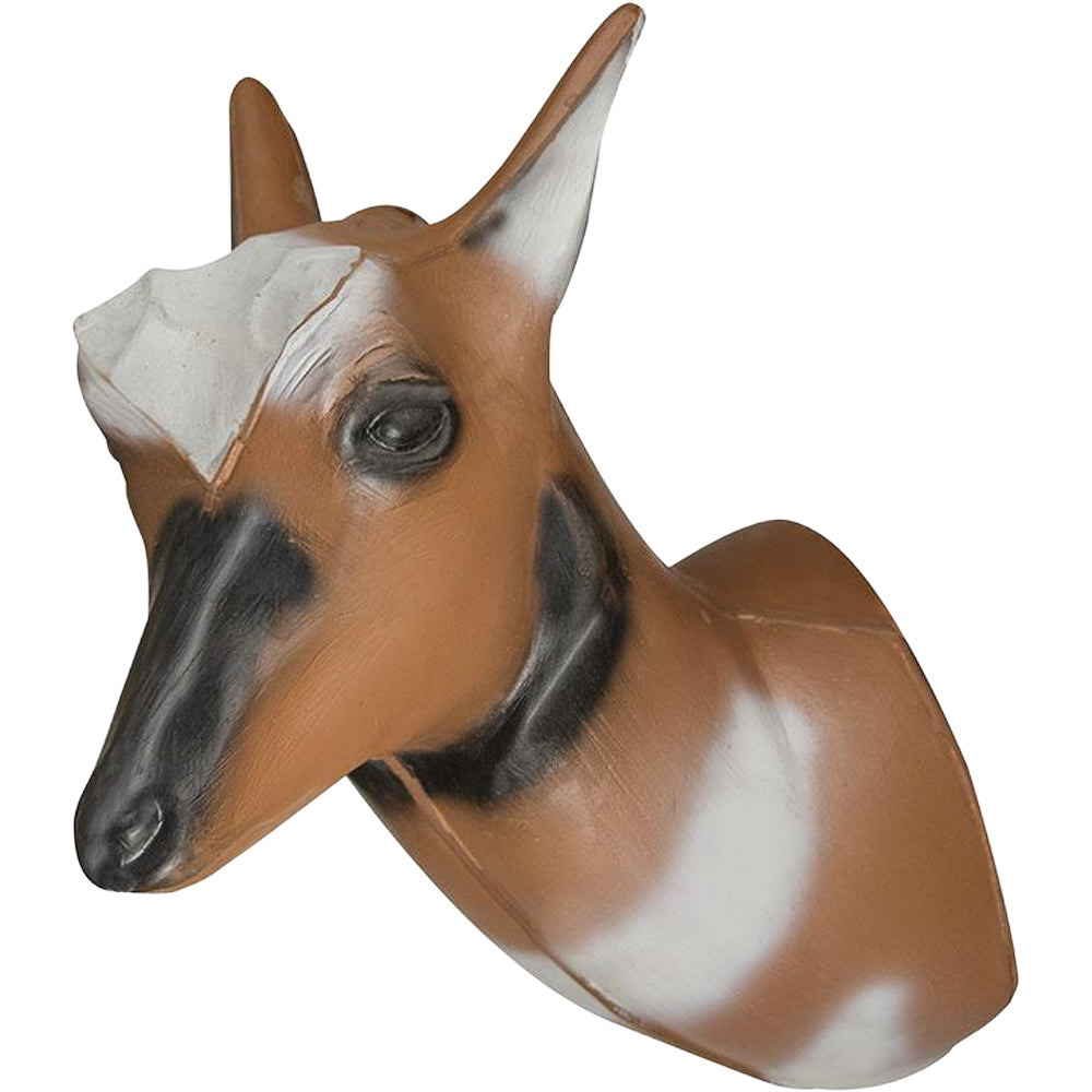 Pronghorn Antelope Head