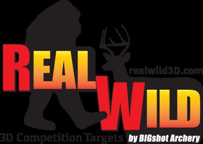 Competition 3D Targets