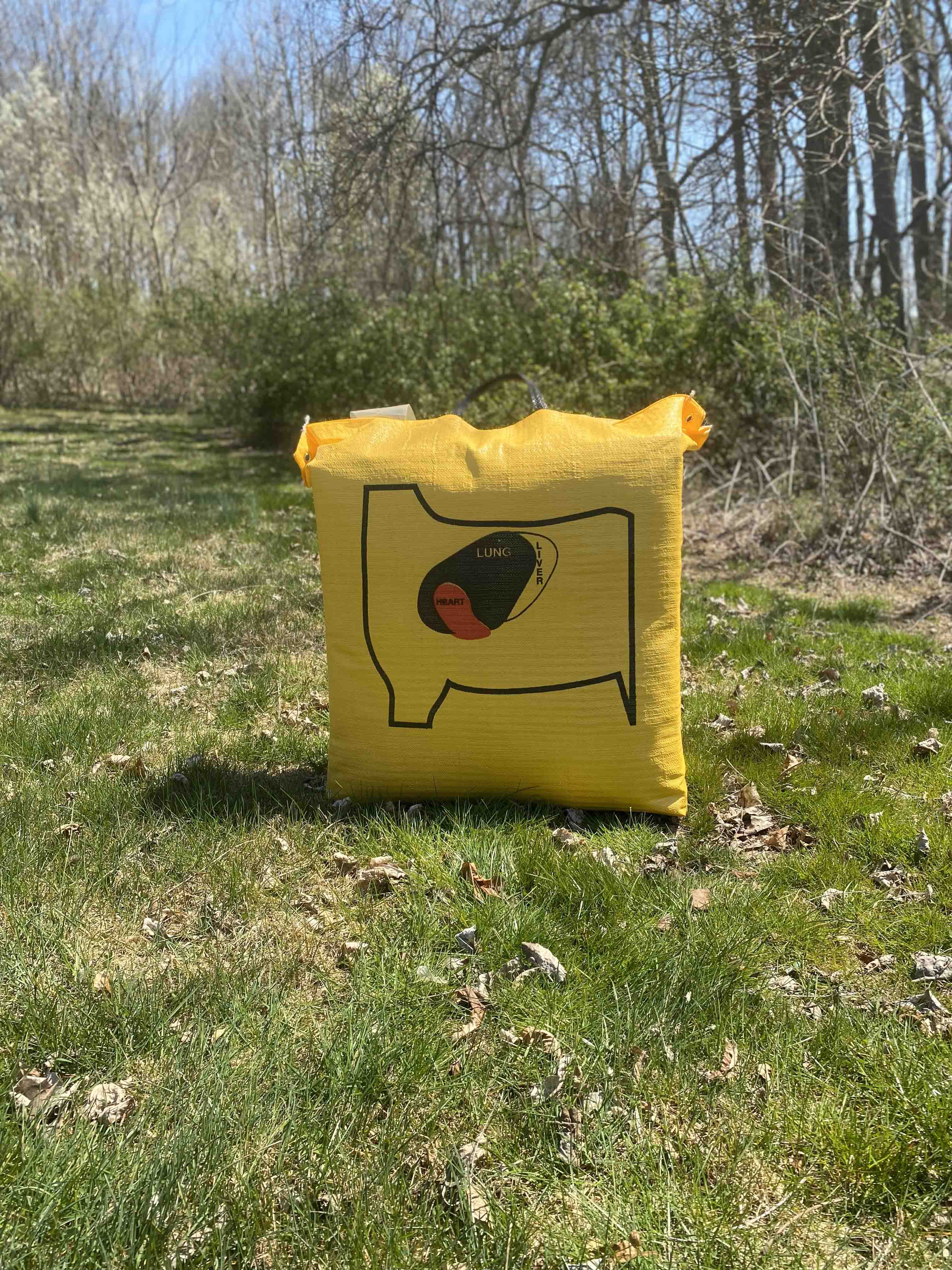 Ballistic 350 Archery Bag Target – BIGshot Archery