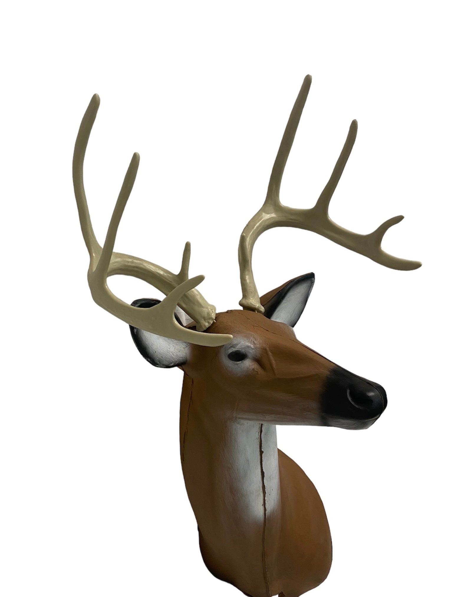 Antlerheadshot.jpg?v=