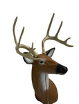 Whitetail Deer Replacement Antlers