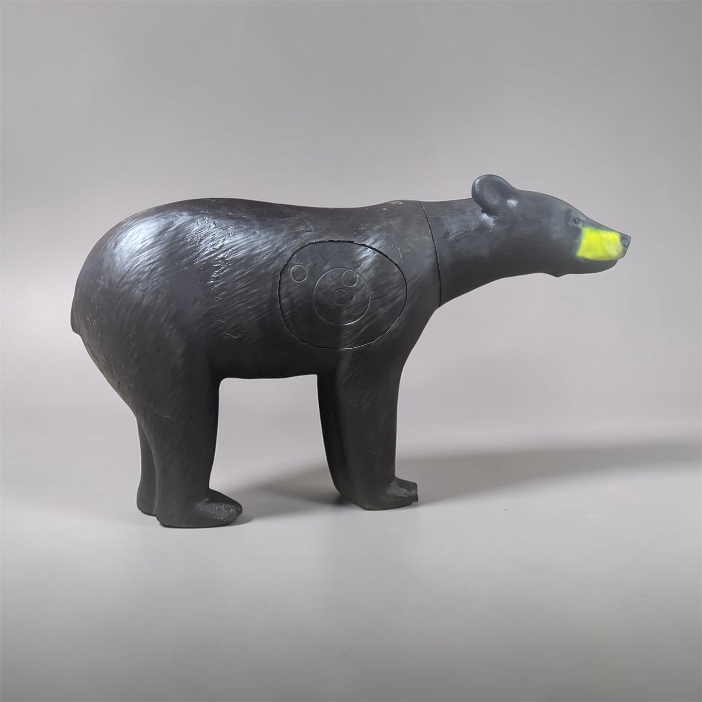 Blemished Real Wild Walking Black Bear