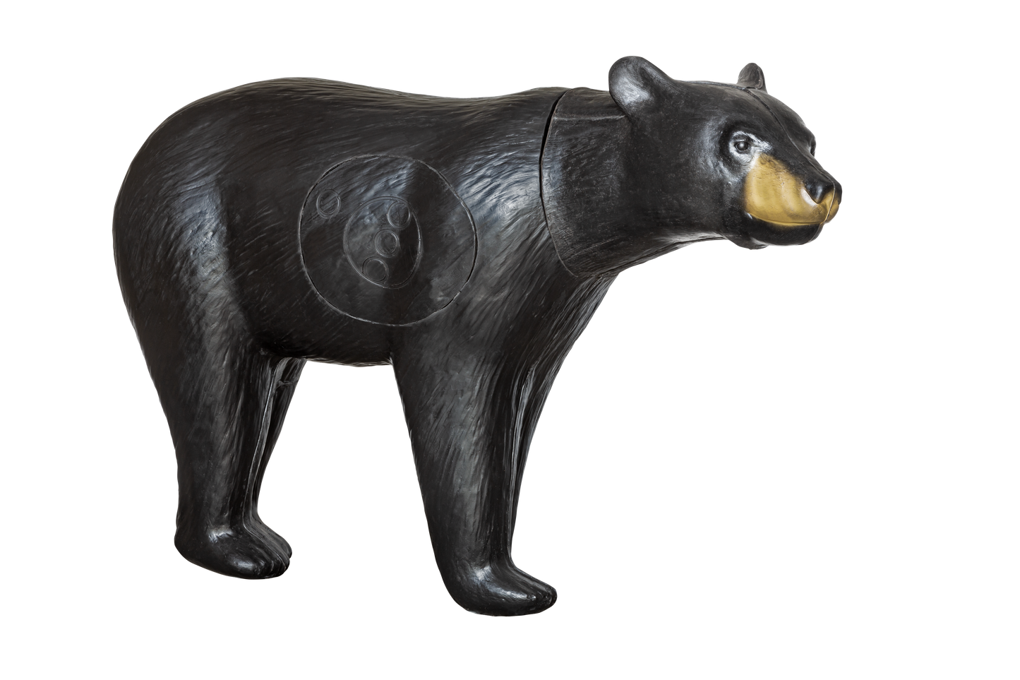 Blemished Real Wild Walking Black Bear