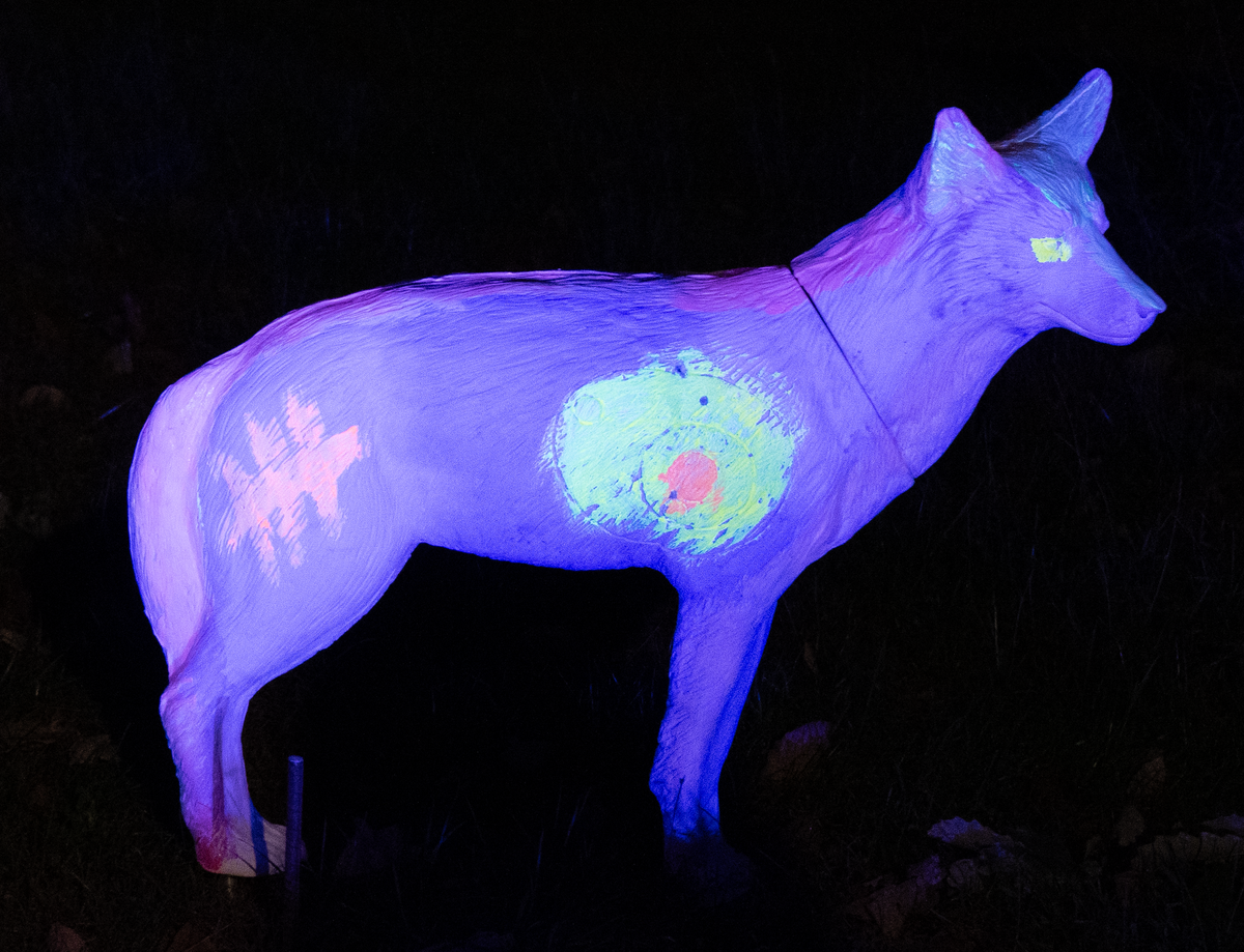 Glow Coyote Target Kit