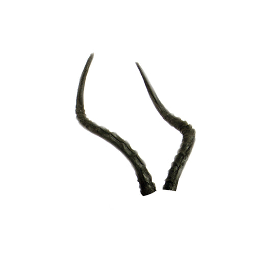Real Wild 3D African Impala Replacement Horns (Horns Only)