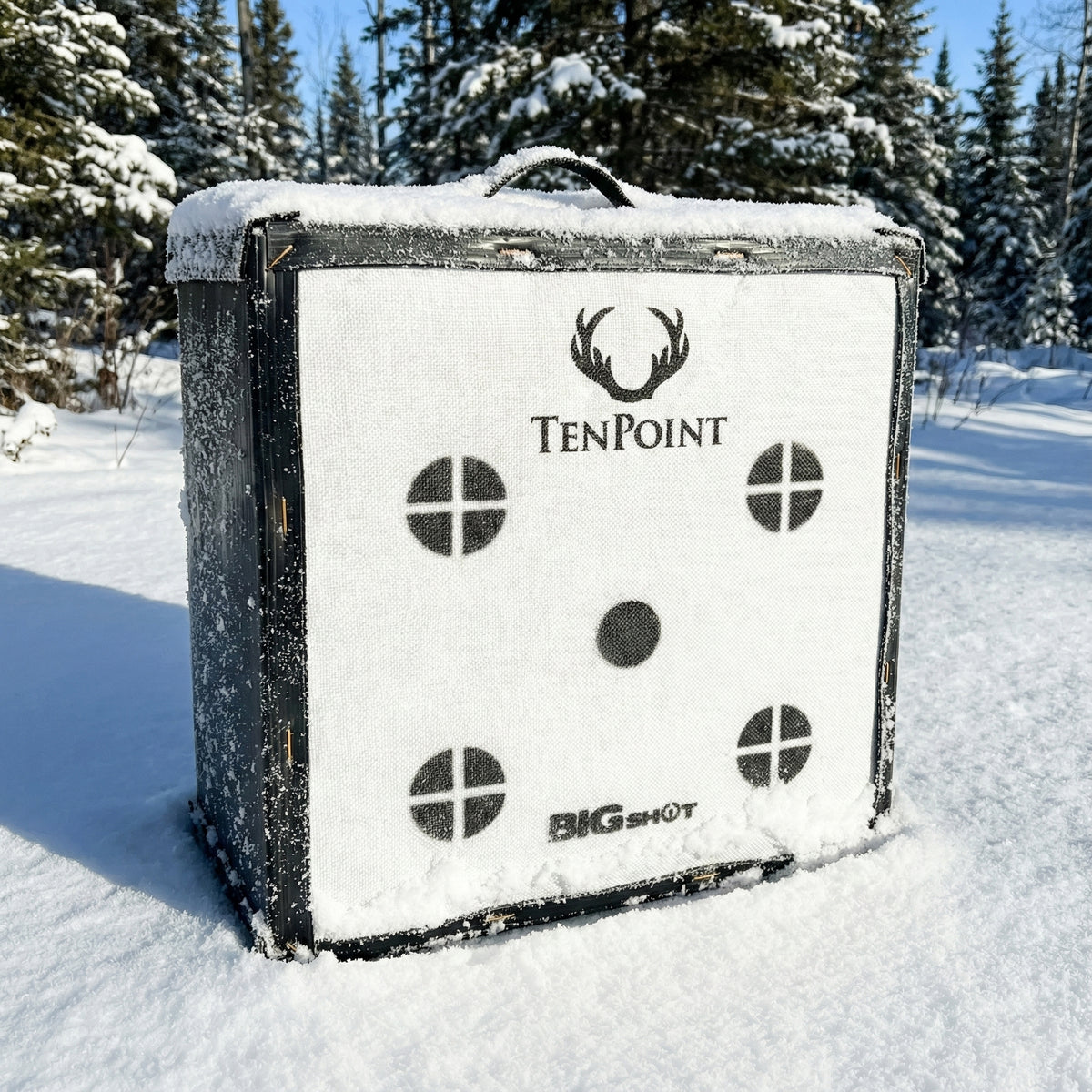 120 Point Target Ironman Kinetic 650 Ten Point Edition Crossbow Target – BIGshot Archery