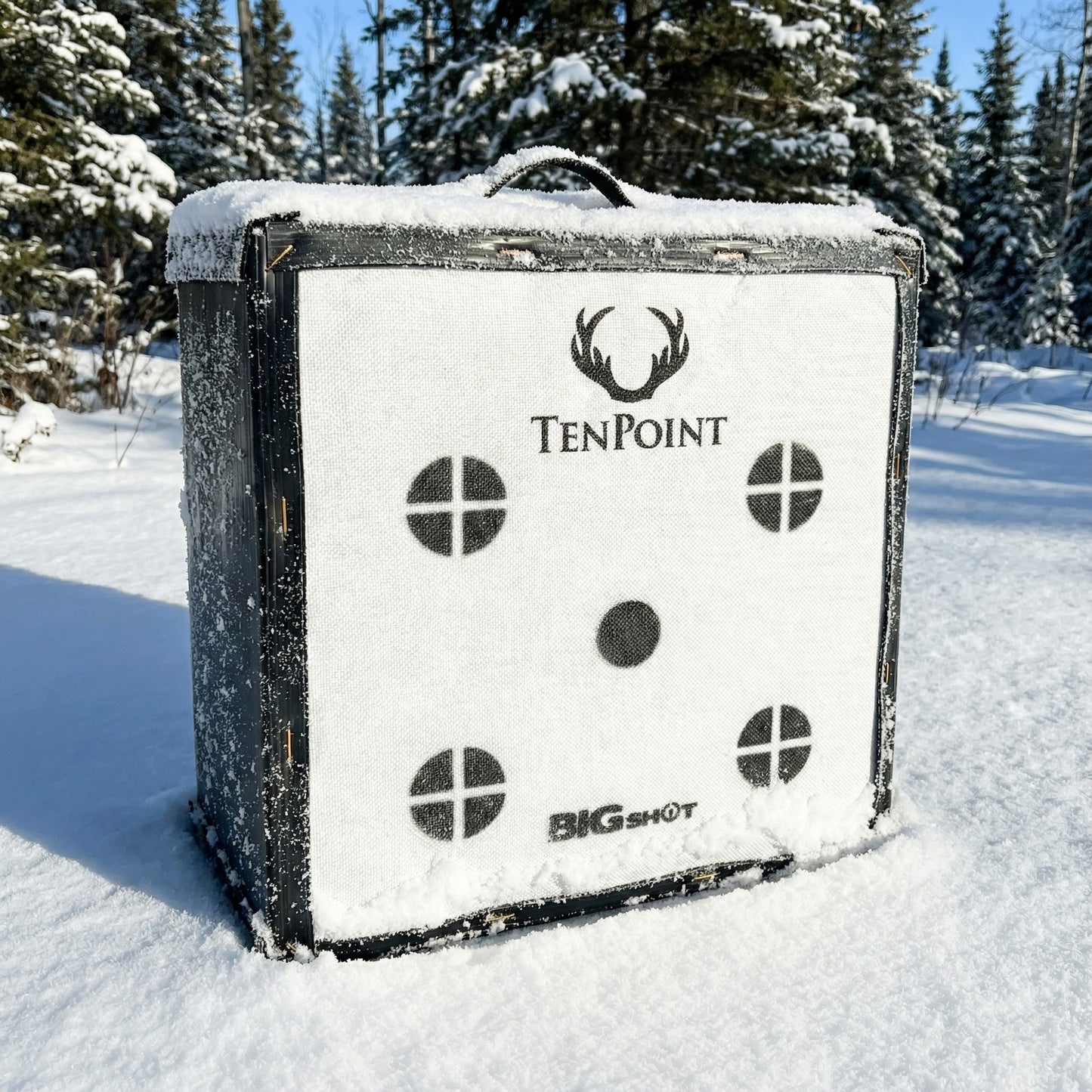 BIGshot Ironman 650 Tenpoint Edition Crossbow Target & Stand Bundle | 650 FPS