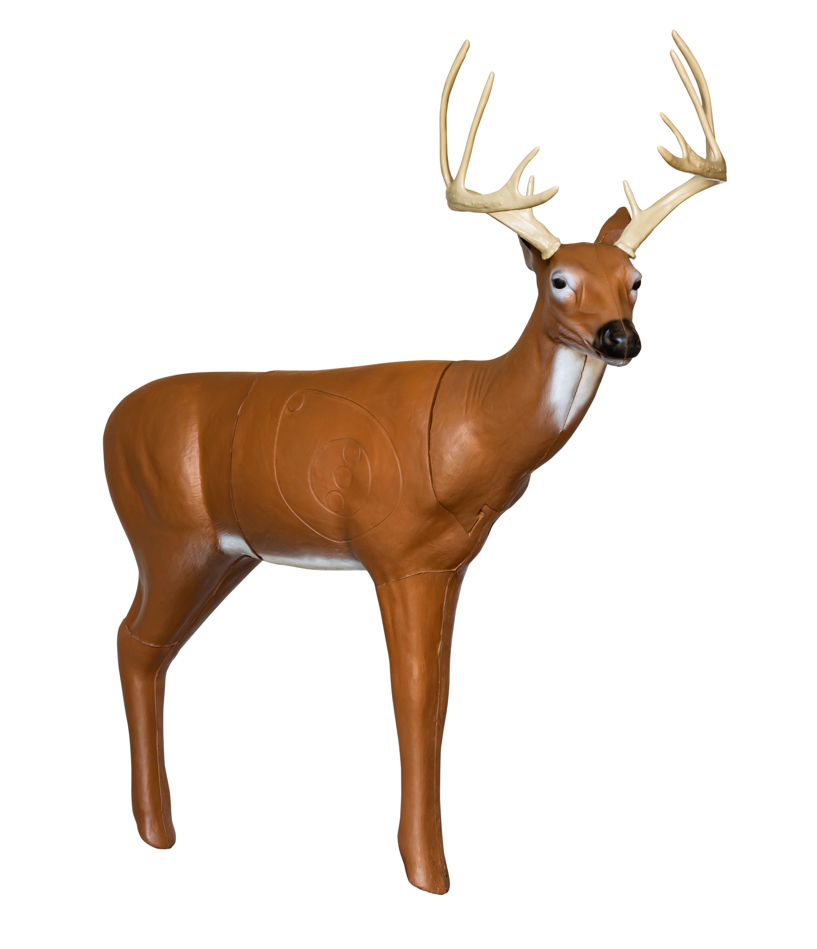 Real Wild 3D MS Deer Mid Section with EZ Pull Foam – BIGshot Archery