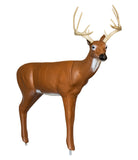 Real Wild 3D Medium Series Sneak Deer with EZ Pull Foam