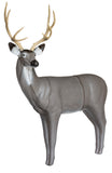 Lifelike Mule Deer Foam 3D Archery Target for Authentic Outdoor Shooting Practice
