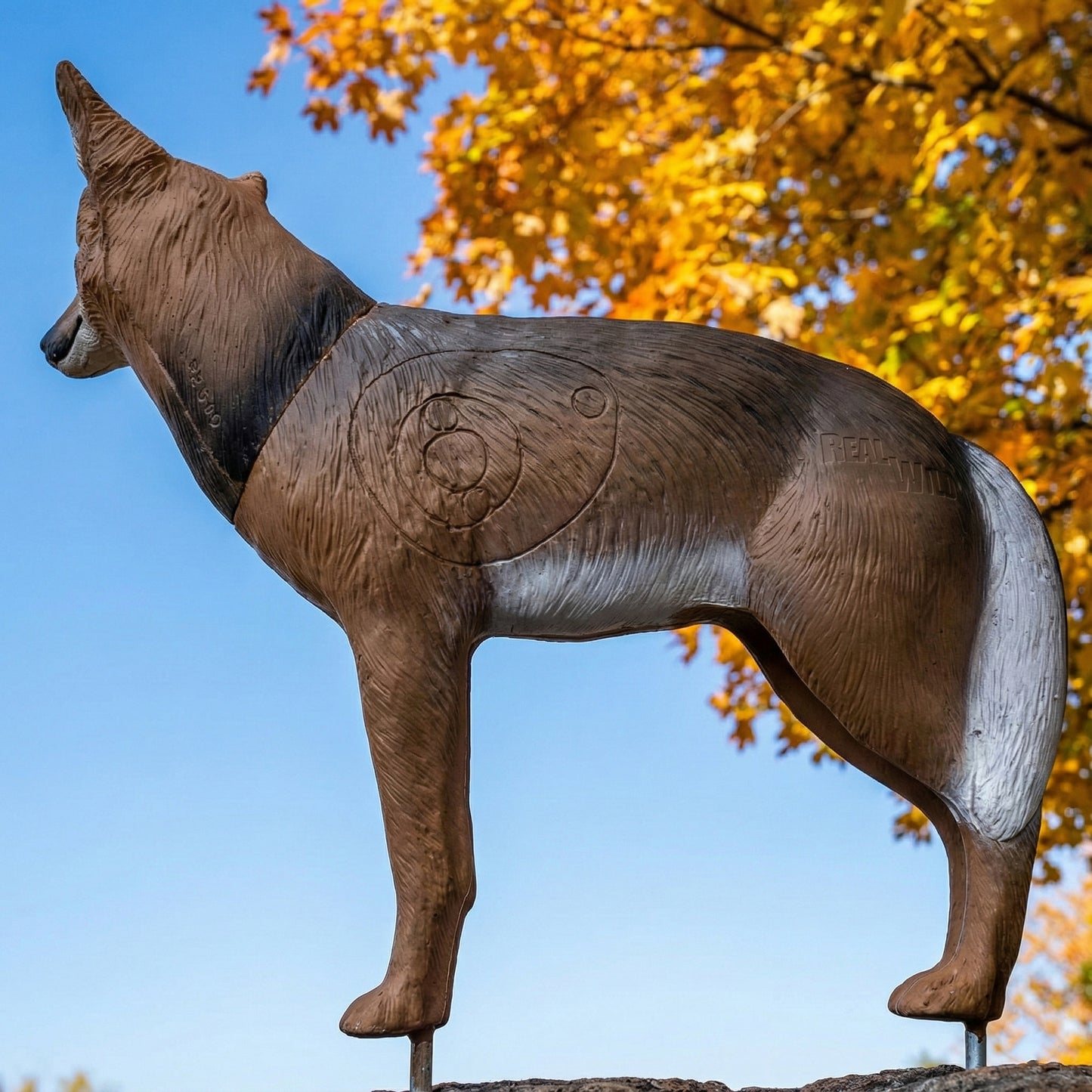 BIGshot Pro Hunter Coyote Archery Target