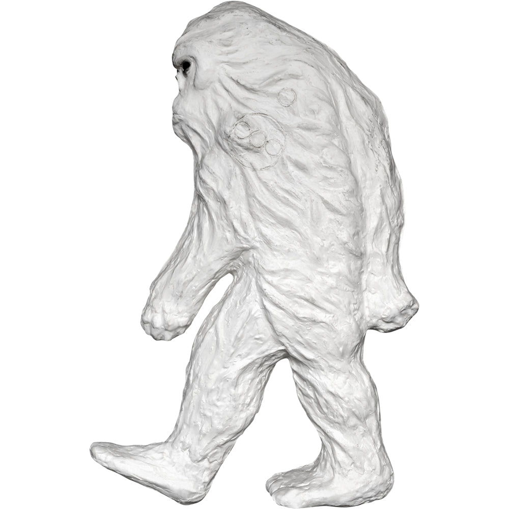 P,Veitchii Wild Australia OC. 山採り個体 P,Veitchii Wild Australia OC. 山採り個体