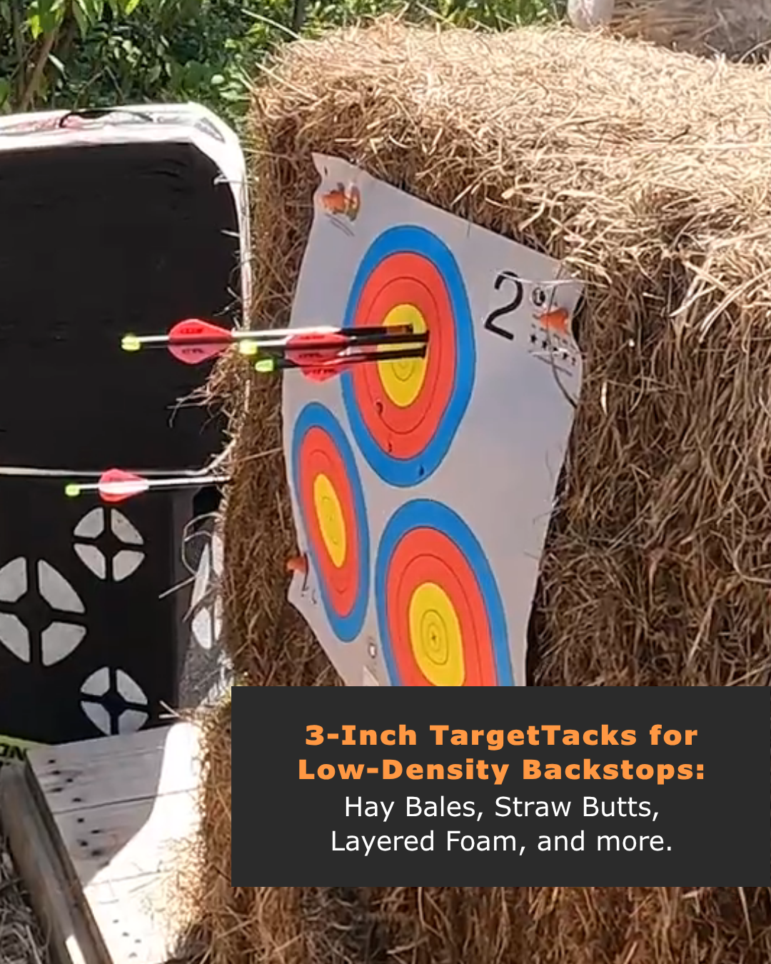 25 3-Inch Loose Bulk of TargetTacks®