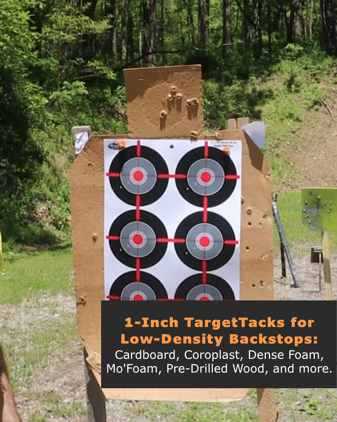 50 1-Inch Loose Bulk of TargetTacks®