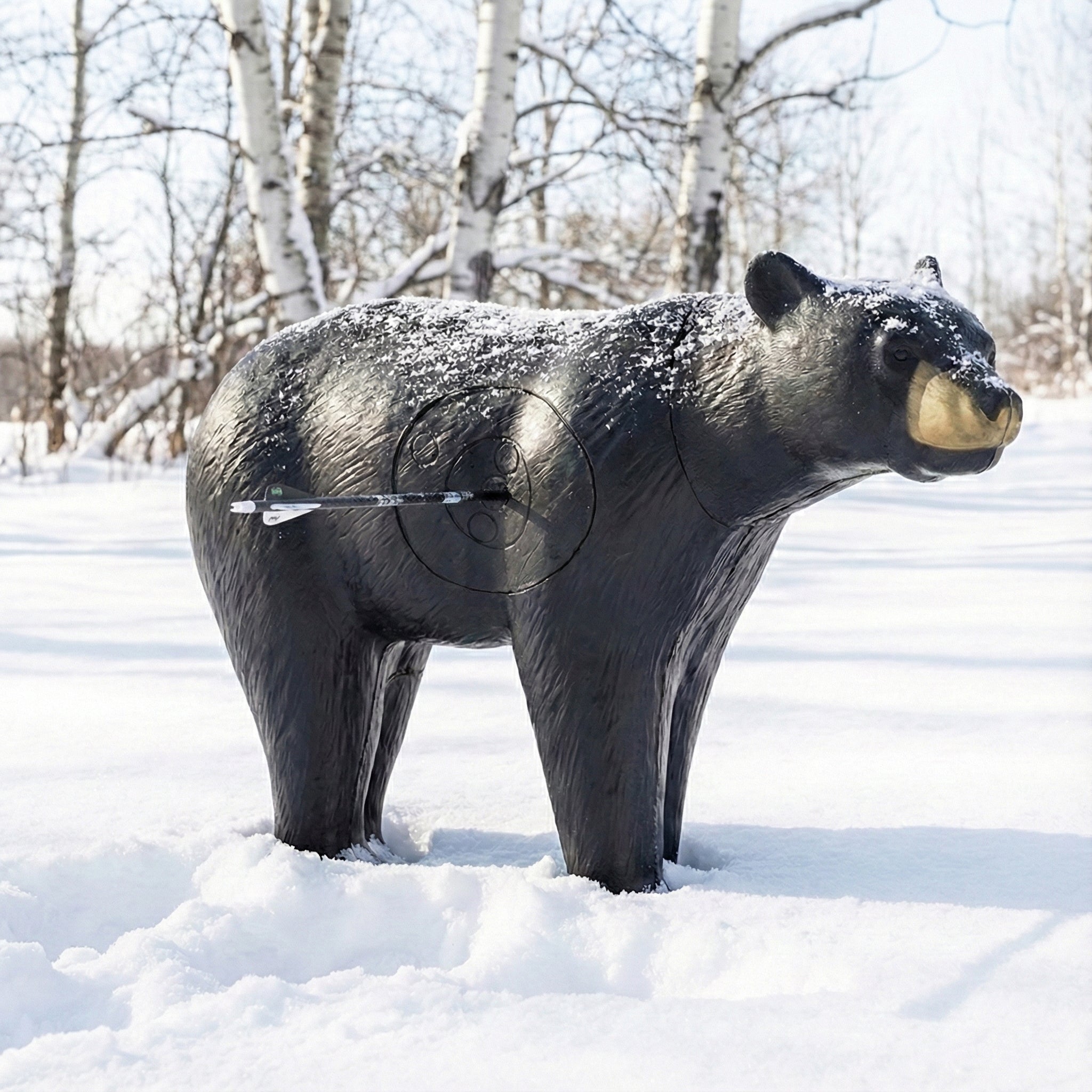 【bear93さま専用上下セット】RintosullパーフェクトフォームトレーM Real Wild 3D Walking Black Bear Archery Target with EZ Pull Foam