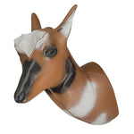 Pronghorn Antelope Head