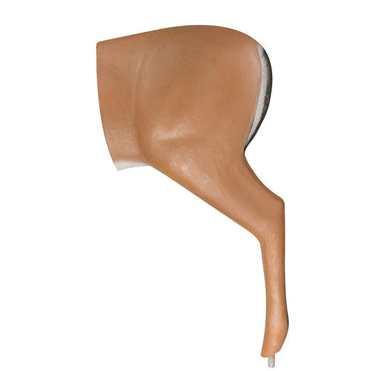 MS Deer Rear Section