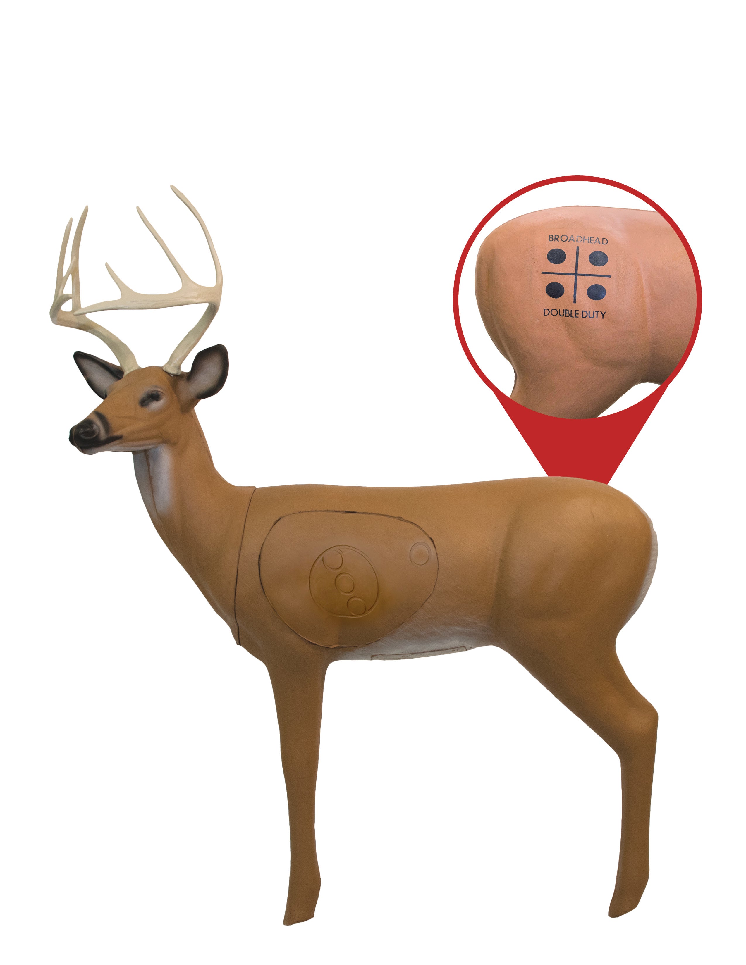 Pro Hunter Double Duty Buck Archery Target – BIGshot Archery