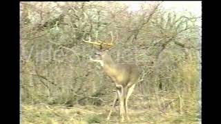 Texas Deer Shooting Set - *Requires Live Hunt Player